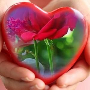 Meet your Posher, Carmen